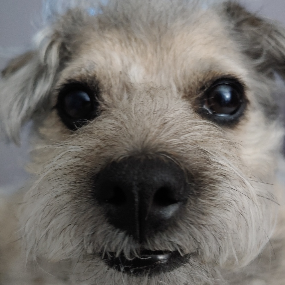 Meet your Posher, Gretchen